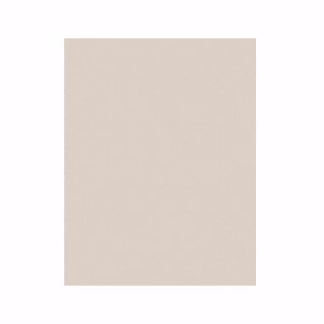 .5MIC 3M668X PSA SHEET 9X11